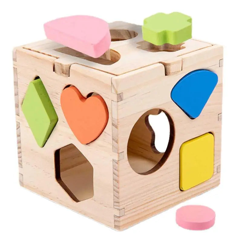 Sorting Activity Cube