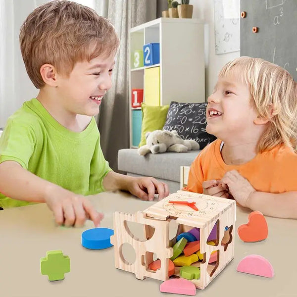 Sorting Activity Cube